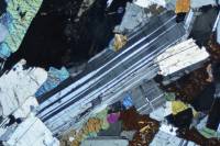 Plagioclase dans gabbro LPA x6,3